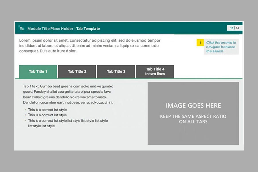 Cathay Pacific – Storyline 2 E-learning Templates (2016)
